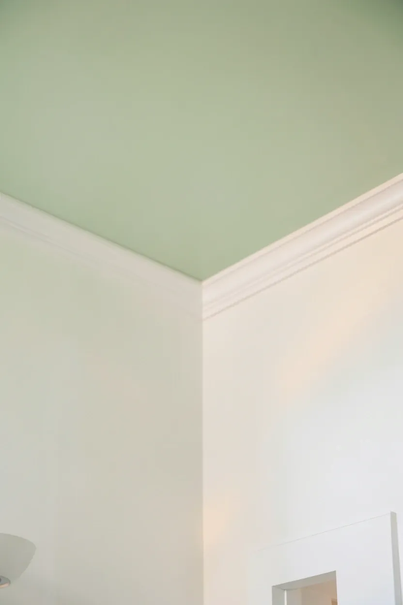 Rental bathroom with pale mint green painted ceiling above white walls and white porcelain fixtures, adding a soft calming color overhead
